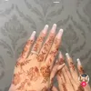 amiiratilqulub0