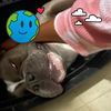aubrey08176