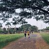 akungabut2001_