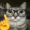 ur.fav_.hvman