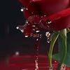my.sweet.faizi