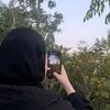 bismashah787