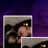 uyuquipa_4