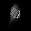wllayman12