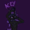 aceythenova
