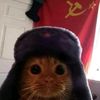 hoxhaoist_1917