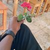 md.abir.hossain7.9.8.1