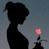 user85411391500261