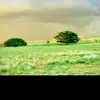 beel.daaje.husein