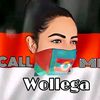 callmewollega4