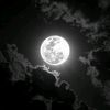 nadem_120