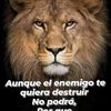 user3774740009549