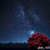 farouk.mohamed023
