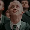 luhmalfoyblack