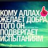rafael.aliev5