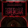 hassal330
