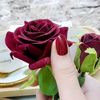 nw_434