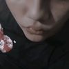 danictx7