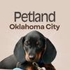 Petland Oklahoma City