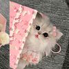marwa.aty1