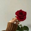 user3355910365193