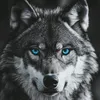 anwar_aof93