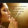 user8212475038676