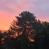 اسير الصمت