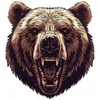 bear11173