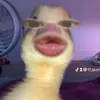 tf_quynhchi