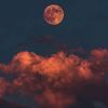 fanofastronomy2