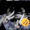 nadifa080808