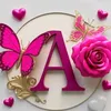 amina.tanger22gim