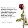 menurjamilah