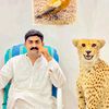 احمد کھرل