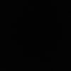 crr_y