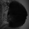 5starr._moeee