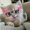 dhia_maisarah6