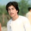 wazer611ptm