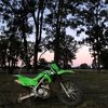 levi_230rs