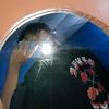 alfonso_2811
