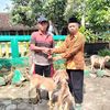 suyatno.aja63