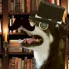 the.mr.dog