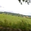 jacob_7775