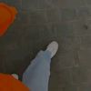 dody.2496