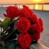 user8620216922147