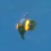 maywv07