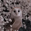 0reqwert