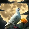 user1751060539066