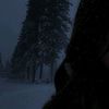 tia_20333